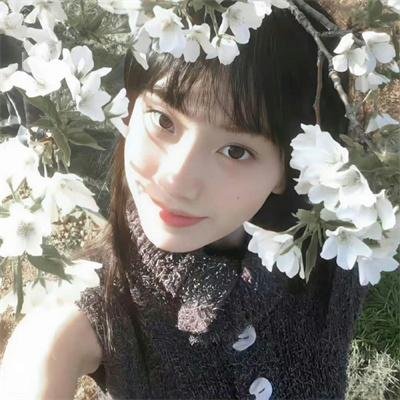 艾维奇的真实故事